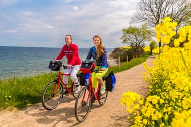 Zwei Radfahrer auf roten Rädern fahren entlang des Küstenwegs bei Travemünde mit gelben Rapsblüten, Ostsee und Brodtner Steilküste.