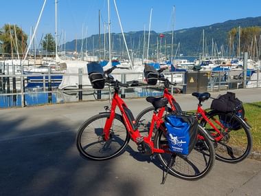Zwei rote Tourenräder mit blauen Taschen am Yachthafen am Bodensee. Segelboote liegen im Hafen, Berge im Hintergrund sichtbar.