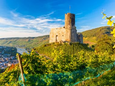 Burgruine Landshut auf einem Weinberg über Bernkastel-Kues. Steinturm und Mauern überblicken das Moseltal mit grünen Reben.