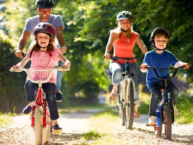 Vierköpfige Familie radelt auf einem sonnigen Waldweg. Zwei Kinder auf kleinen Rädern vorne, Eltern folgen dahinter, alle tragen Helme.