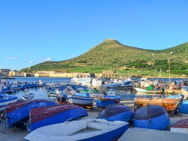 Hafen von Favignana mit zahlreichen blauen Fischerbooten im Vordergrund, ruhigem Wasser und grünen Hügeln mit Gebäuden im Hintergrund unter klarem Himmel.