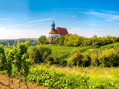 Wallfahrtskirche Maria im Weingarten auf einem Hügel in Volkach, umgeben von grünen Weinbergen unter blauem Himmel mit vereinzelten Wolken.