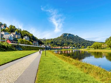 Asphaltierter Radweg entlang der Elbe bei Königstein mit grünen Wiesen, bewaldeten Hügeln und einer Stadt am Hang unter blauem Himmel.