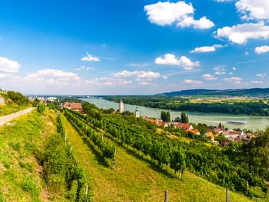 Terrassierte Weinberge an einem Hang mit Blick auf Krems und die Donau. Ein Kirchturm ist zwischen den Dorfgebäuden sichtbar.