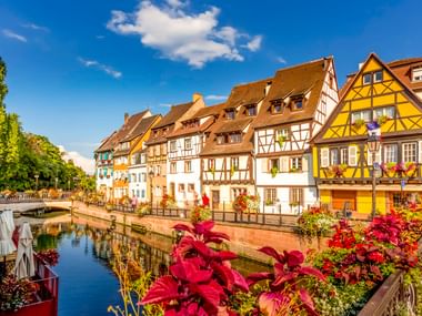 Traditional half-timbered houses along a canal in Colmar's Little Venice district, with vibrant flowers in foreground and blue sky above.
