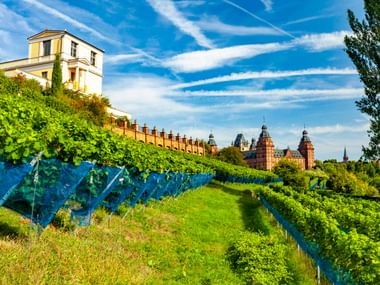 Pompejanum-Villa auf einem Hang mit Weinbergen, mit Blick auf Schloss Johannisburg mit roten Sandsteintürmen in Aschaffenburg unter blauem Himmel.