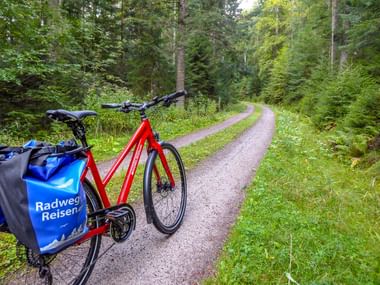 Rotes Tourenrad mit blauen Packtaschen auf einem Schotterweg im Schwarzwald, umgeben von dichter grüner Vegetation und hohen Bäumen.