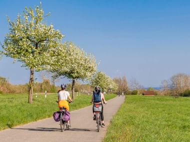 Zwei Radfahrer mit Packtaschen auf asphaltiertem Weg durch grüne Wiesen bei Markelfingen. Blühende Bäume säumen die Route unter blauem Himmel.