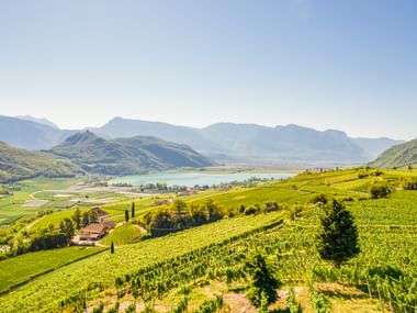 Üppige grüne Weinberge im Vordergrund mit Kalterer See und Bergketten im Hintergrund unter klarem blauen Himmel entlang des Etsch-Radwegs.