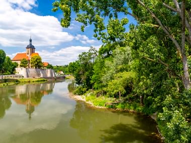 Blick auf den Neckar in Lauffen mit einer Kirche mit orangefarbenem Dach und Turm, umgeben von üppigen grünen Bäumen unter blauem Himmel.