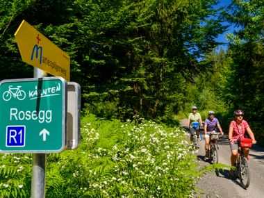 Drei Radfahrer auf einem asphaltierten Weg neben einem grünen Wegweiser für die Radroute Rosegg R1, umgeben von dichtem Wald und weißen Wildblumen.
