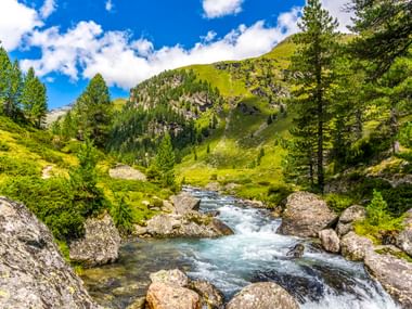 Clear mountain stream flowing through rocky terrain in the Dolomites, surrounded by green alpine meadows, conifer trees, and mountains under blue sky.