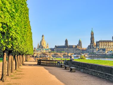 Radfahrer auf Uferweg mit grünen Bäumen entlang der Elbe. Dresdner Altstadtsilhouette mit Frauenkirche und Domtürmen sichtbar.