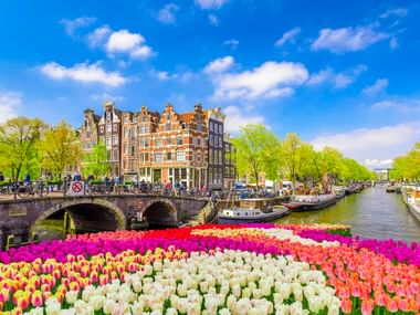 Bunte Tulpen im Vordergrund mit Amsterdamer Gracht, Steinbrücke, traditionellen Giebelhäusern und Booten unter blauem Himmel mit weißen Wolken.