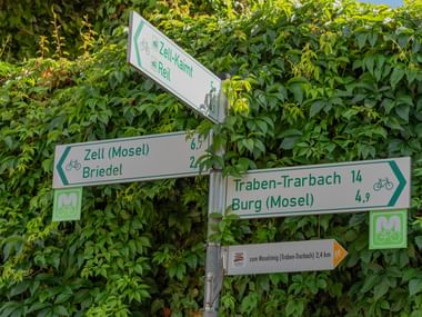 Radwegweiser am Mosel-Radweg mit Richtungsangaben nach Zell, Briedel, Traben-Trarbach und Burg, umgeben von grünem Laub.