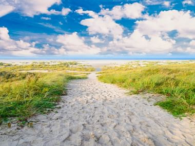Sandweg führt durch grasbewachsene Dünen zum Strand von Langeoog an der Nordsee unter blauem Himmel mit weißen Wolken.
