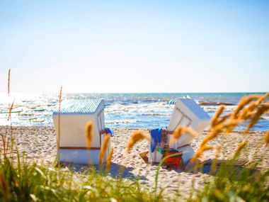 Weiße Strandkörbe am Sandstrand in Bansin auf Usedom mit Ostsee im Hintergrund. Grünes Strandgras im Vordergrund.