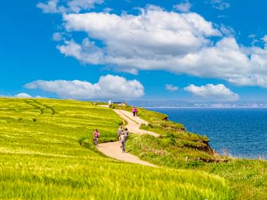 Radfahrer auf einem Küstenweg auf grünen Klippen bei Travemünde. Blaues Meer und weiße Wolken unter hellem Himmel sichtbar.