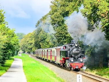 Historischer Molli Schmalspurdampfzug mit weißem Rauch fährt durch grüne Landschaft. Ein Radweg verläuft parallel zu den Gleisen.