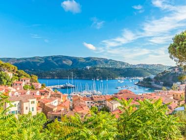 Panoramablick auf Porto Azzurro auf Elba mit terrakottafarbenen Dächern, einem Yachthafen mit Segelbooten und grünen Hügeln unter blauem Himmel.