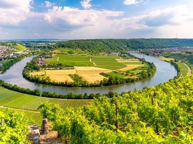 Luftaufnahme der Neckarschleife bei Mundelsheim. Grüne Weinberge im Vordergrund, Stadt und Felder innerhalb der Flussschleife.