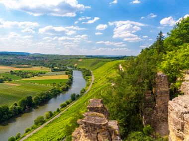 Felsige Klippen am Hessigheim Felsengarten mit Blick auf den Neckar, der sich durch grüne Weinberge und Felder schlängelt unter blauem Himmel.