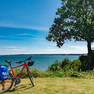 Rotes Tourenrad mit blauen Packtaschen auf Gras mit Blick aufs Meer in Jütland. Ein großer Baum und ein Haus sind unter blauem Himmel sichtbar.