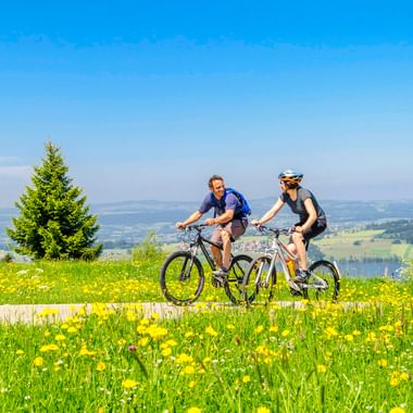 Two mountain bikers pausing on bikes in a yellow flowering meadow in the Allgäu region, with a lake and rolling hills in the background.