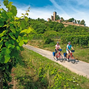 Zwei Radfahrer fahren durch Weinberge in Wachenheim mit einer historischen Burg auf einem Hügel im Hintergrund unter blauem Himmel.