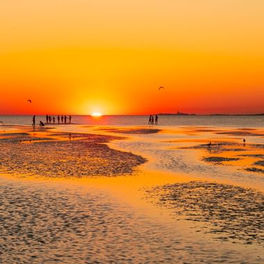 Goldener Sonnenuntergang am Strand Döse in Cuxhaven mit Menschen auf nassem Sand, fliegenden Vögeln und flachen Prielen im orangefarbenen Licht.
