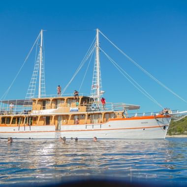 MS Dalmatino Kreuzfahrtschiff vor Anker in ruhigem blauen Wasser mit schwimmenden Passagieren. Grüne Küste im Hintergrund unter klarem Himmel.