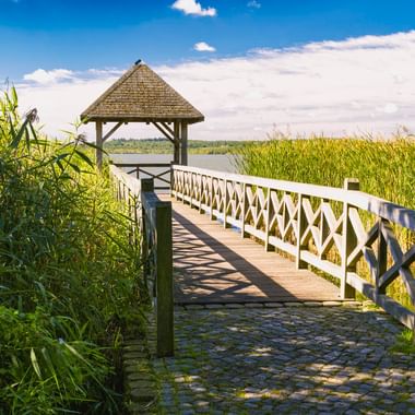 Wooden footbridge with white railings leading to a covered pavilion at Zierker See in Neustrelitz, surrounded by tall reeds under blue sky.