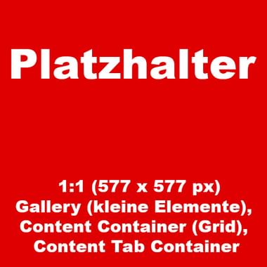 Red square with white text reading 'Platzhalter' and technical specifications for a 1:1 gallery grid placeholder image.
