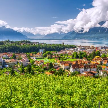 Panoramablick auf Montreux mit Weinbergen im Vordergrund, Stadtgebäuden und Genfersee mit Bergen unter bewölktem Himmel.