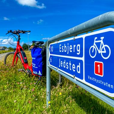 Blaues Radwegschild mit Esbjerg 30 km und Jedsted 6 km an der Vestkystruten Route 1. Rotes Fahrrad mit blauer Tasche neben dem Schild am Straßenrand.