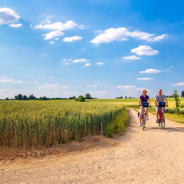 Zwei Radfahrer auf einem Schotterweg entlang des Neckarradwegs, gesäumt von grünen Weizenfeldern unter blauem Himmel mit weißen Wolken.