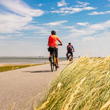 Zwei Radfahrer auf einem asphaltierten Küstenweg auf Sylt mit Dünengras im Vordergrund, ruhigem Meer und blauem Himmel mit Wolken.