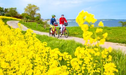 Zwei Radfahrer auf einem Küstenweg am Brodtener Steilufer bei Travemünde. Gelbe Rapsblüten rahmen die Szene mit der Ostsee im Hintergrund.