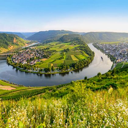 Luftaufnahme der Kröver Moselschleife, wo der Fluss eine Hufeisenbiegung um ein Dorf bildet, umgeben von grünen Weinbergen an Hängen.