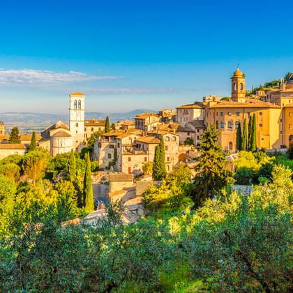 Panoramablick auf Assisi, eine mittelalterliche Hügelstadt in Umbrien, mit Steingebäuden, Glockentürmen und Zypressen umgeben von Olivenhainen.