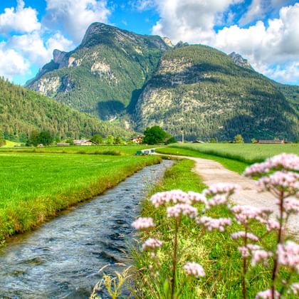 Bach fließt durch grüne Wiesen mit rosa Wildblumen im Vordergrund. Bewaldete Berge erheben sich unter blauem Himmel mit weißen Wolken in Österreich.