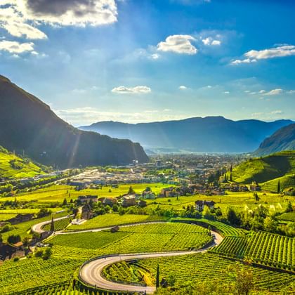 Luftaufnahme terrassierter Weinberge im Etschtal bei Bozen mit kurvigen Straßen, Bergen und einer Stadt in der Ferne unter blauem Himmel.