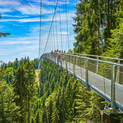 Hängebrücke durch die Baumwipfel in Bad Wildbad, Schwarzwald. Besucher gehen auf der Metallbrücke über dichtem grünen Wald.