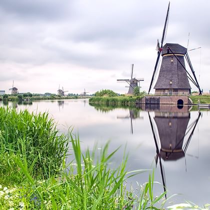 Traditionelle holländische Windmühlen entlang eines Kanals mit perfekten Spiegelungen im stillen Wasser. Grünes Gras und weiße Blumen säumen den Wasserweg unter bewölktem Himmel.