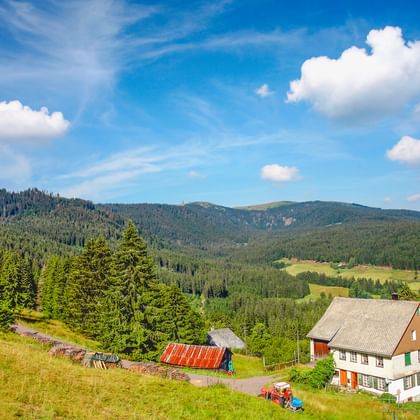 Traditionelles Bauernhaus auf einer Hangwiese in Feldberg, Schwarzwald, mit bewaldeten Bergen und blauem Himmel mit weißen Wolken im Hintergrund.