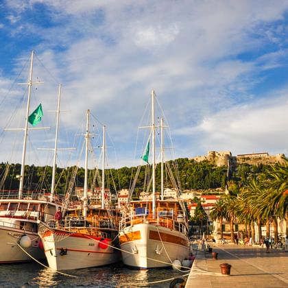 Drei hölzerne Segelboote mit hohen Masten liegen im Hafen von Hvar in Kroatien. Palmen säumen die Uferpromenade mit historischen Gebäuden am Hang.