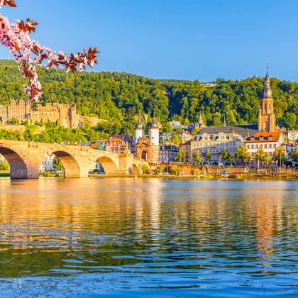 Blick auf Heidelberg mit Schlossruine am Hang, Alter Brücke über dem Neckar und historischer Altstadt mit Kirchturm, eingerahmt von rosa Blüten.