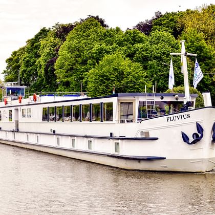 Weißes Flusskreuzfahrtschiff MS Fluvius mit blauen Akzenten auf einem ruhigen Wasserweg, umgeben von üppigen grünen Bäumen.