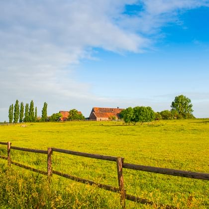Sattgrüne Wiese mit Holzzaun im Münsterland. Bauernhäuser mit roten Dächern und hohe Pappeln im Hintergrund unter blauem Himmel.