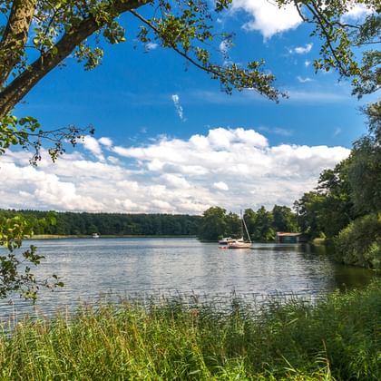 Ruhiger See in der Mecklenburgischen Seenplatte, eingerahmt von Bäumen, mit Segelboot auf dem Wasser. Blauer Himmel mit weißen Wolken.